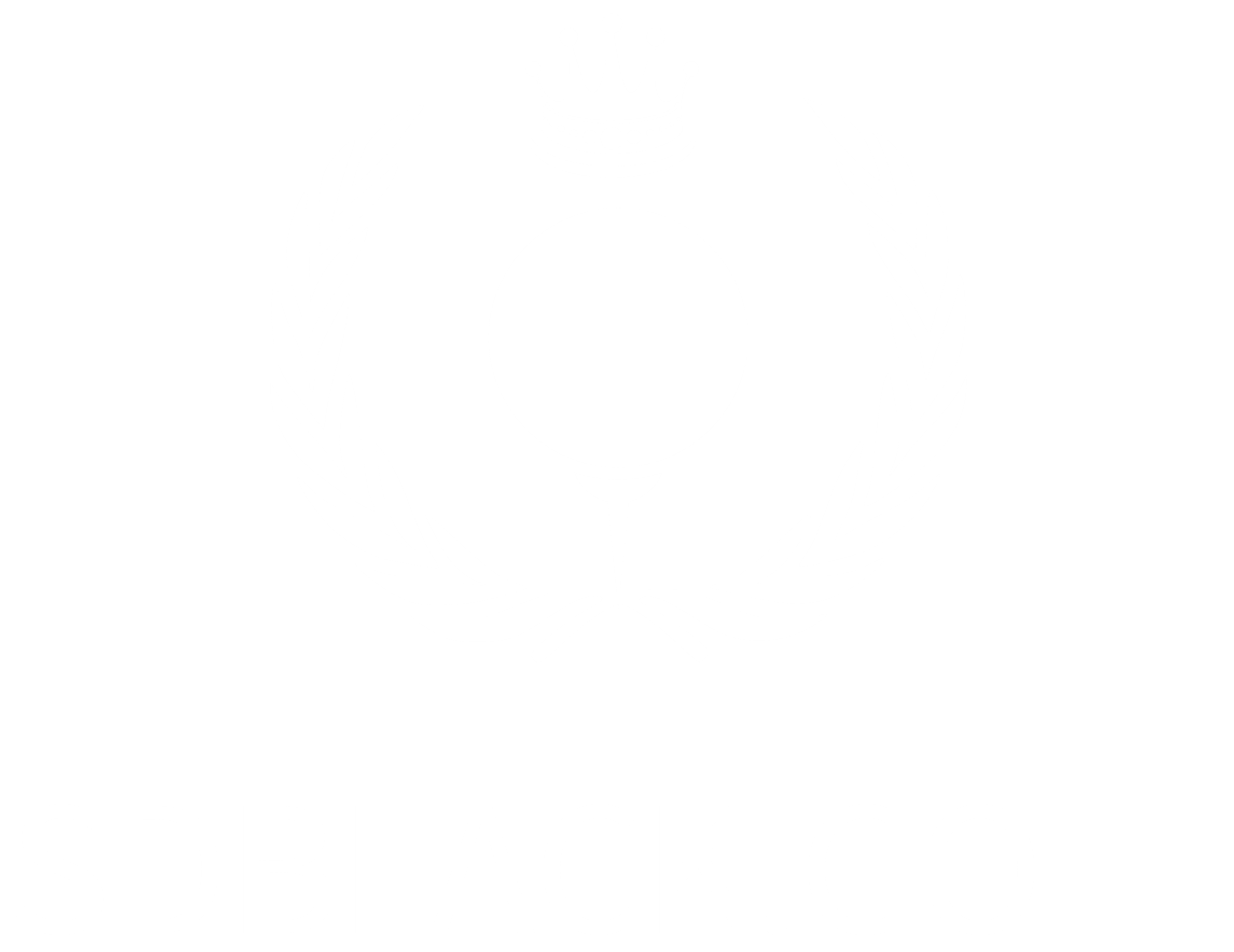 SD Black